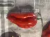 Piment Habanero rouge